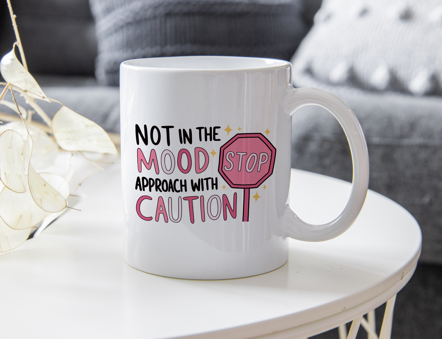 Funny Mug, Not in the mood Approach with caution